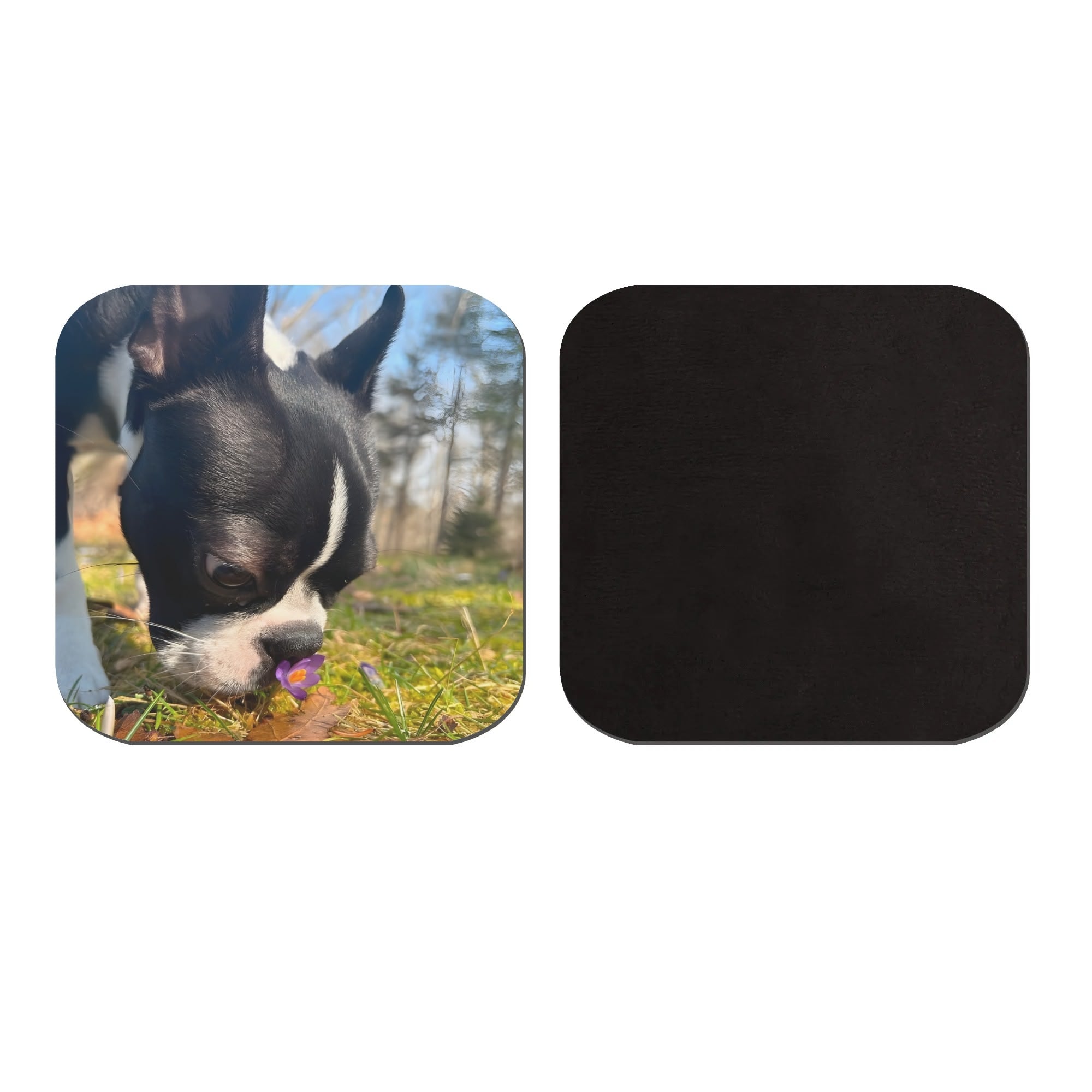 Personalized Dog Photo Magnets 4 Pcs .