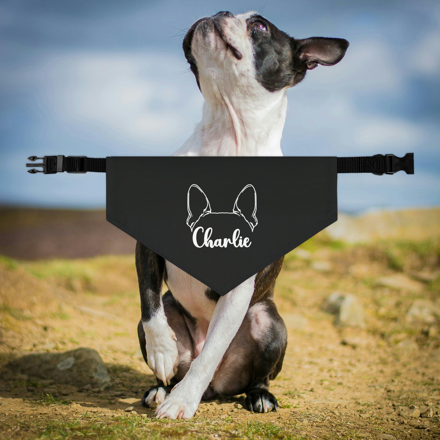 Personalized Dog Bandana Collar - Ears with Dog Name
