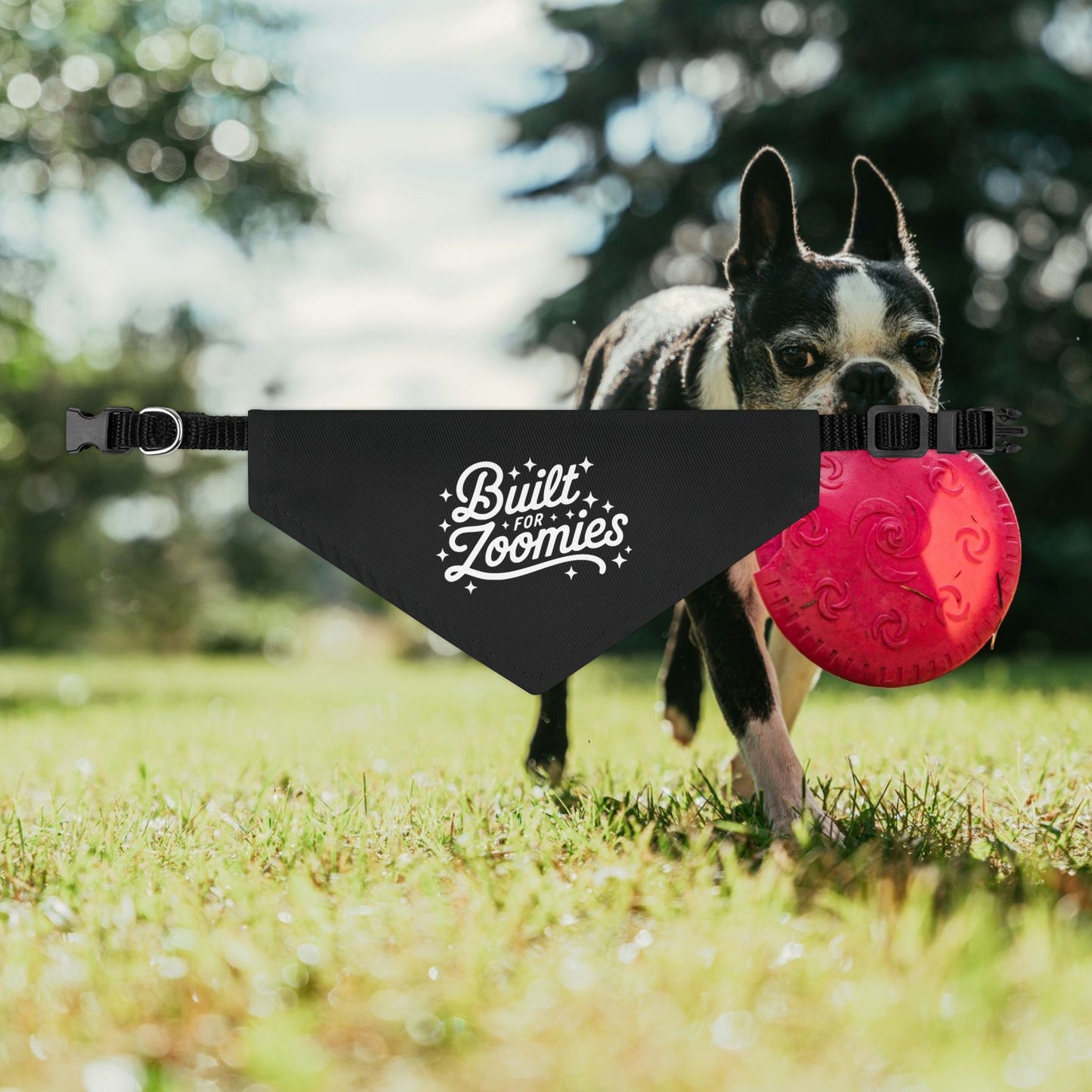 Built for Zoomies Pet Bandana Collar - Fun Adjustable Accessory for Playful Dogs