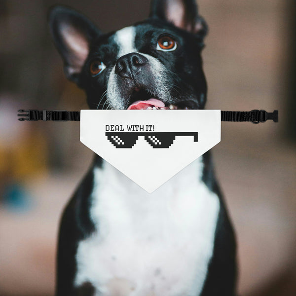 Deal With It Dog Bandana Collar