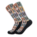 Pop Art Style Colored Boston Terriers Modern Tiles Pattern Crew Socks .
