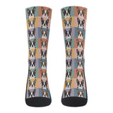 Pop Art Style Colored Boston Terriers Modern Tiles Pattern Crew Socks .