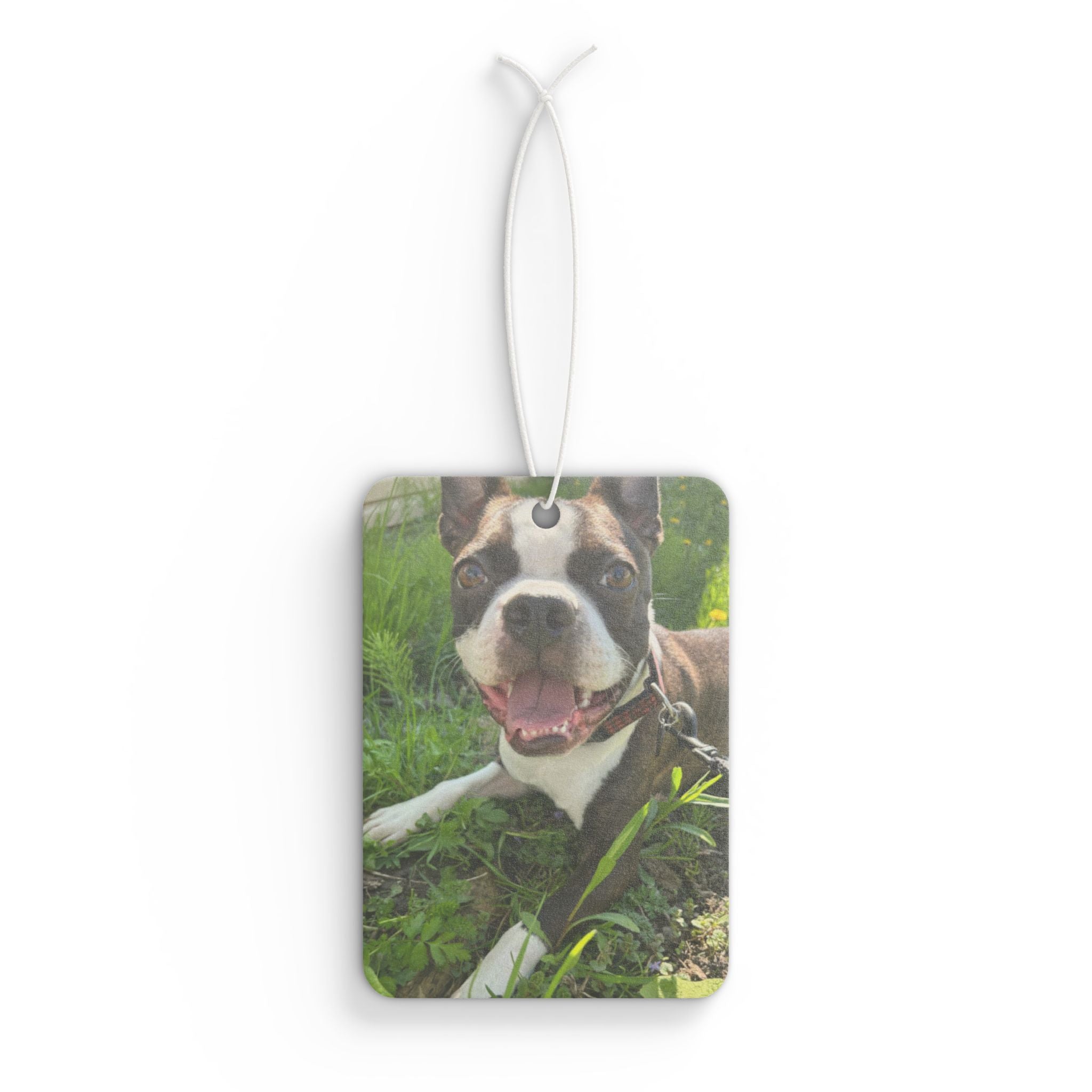 Personalized Dog Photo Car Air Freshener