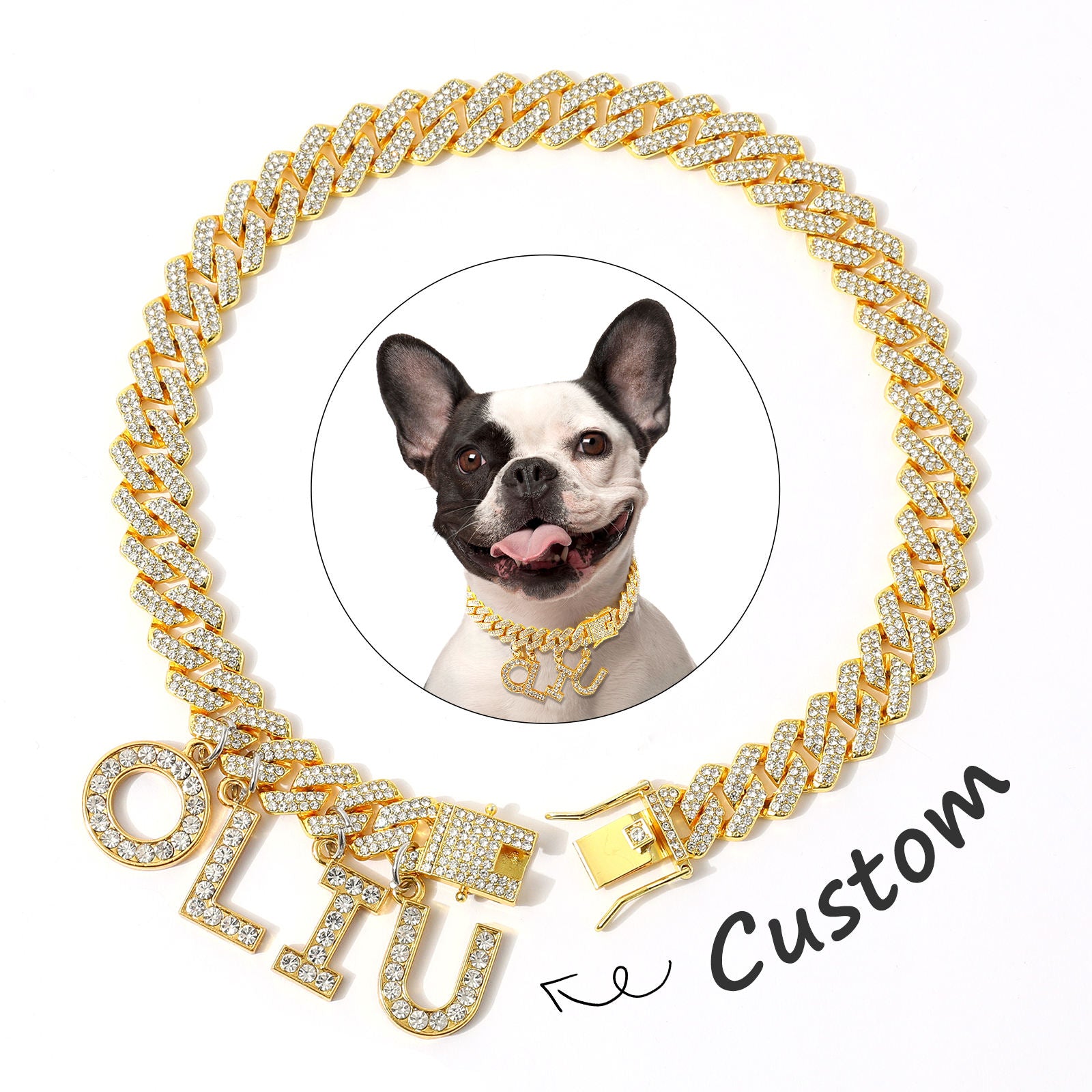 Luxury Alloy Dog Name Chain . Gold