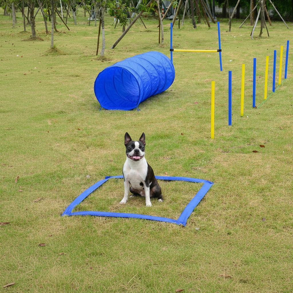 Competition Dog Agility Equipment Obstacle Course Set for Outdoor Backyard, Blue and Yellow .