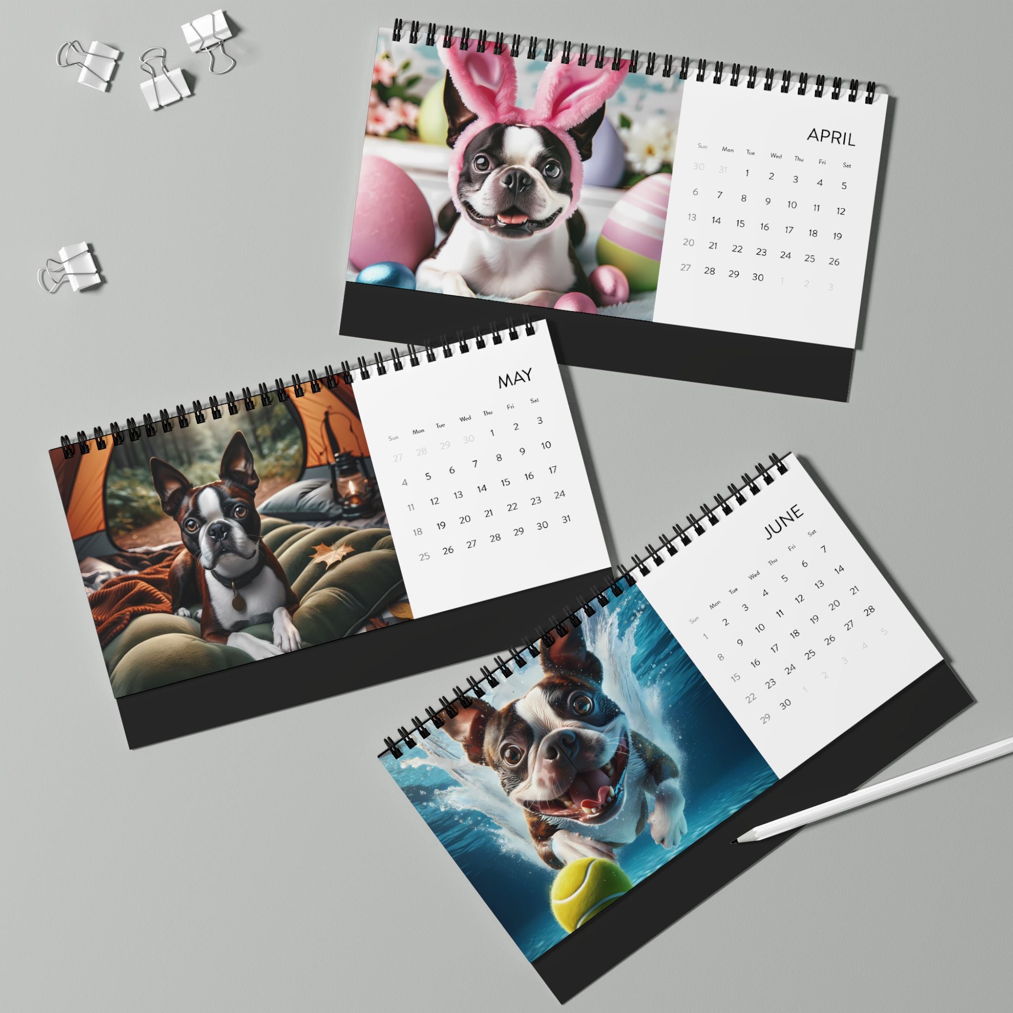 Boston Terrier World Desktop Calendar (2025 grid)