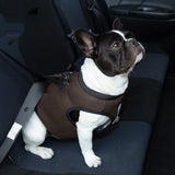 Truelove Car Safety Harness Passed Vehicle Crash Test .