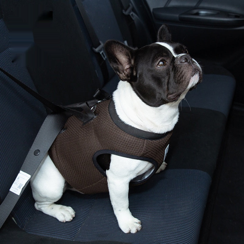 Truelove Car Safety Harness Passed Vehicle Crash Test .