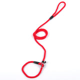 Slip Lead Training Dog Leash