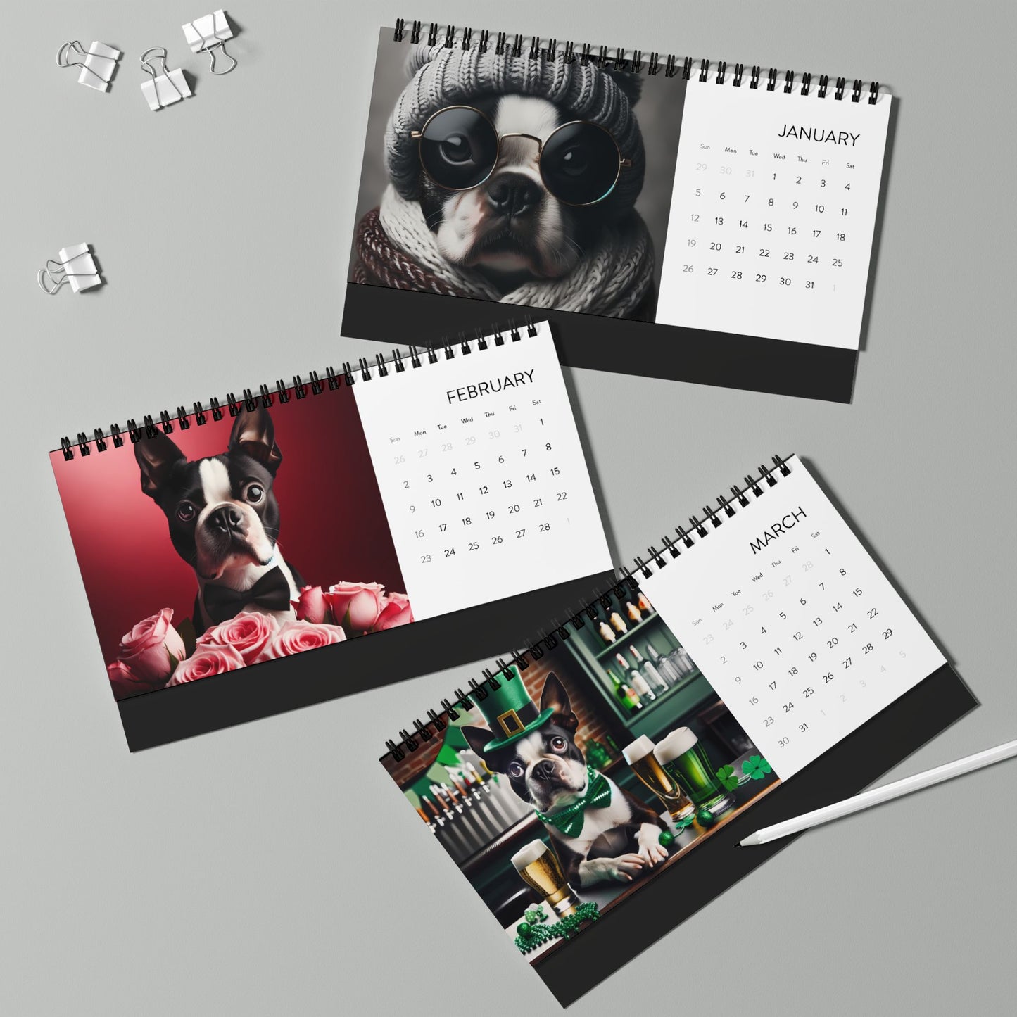 Boston Terrier World Desktop Calendar (2025 grid)