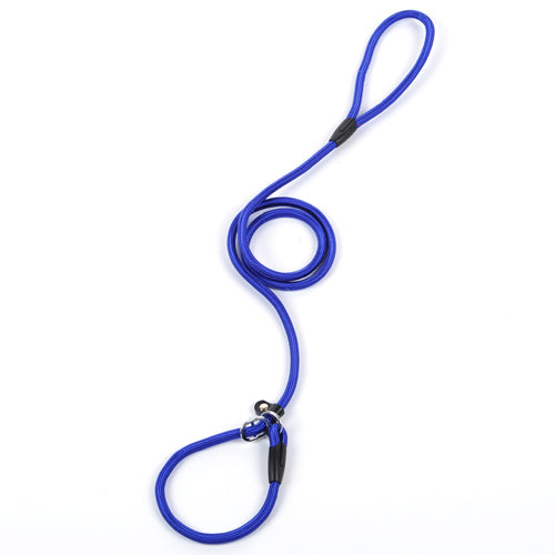 Slip Lead Training Dog Leash