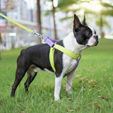 Colored Strap Step-In Dog Harness With Leash Set .
