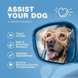 Hemp Calming Chews For Dogs Anxiety Relief Calming Treats With Melatonin Chamomile Extract Valerian Root
