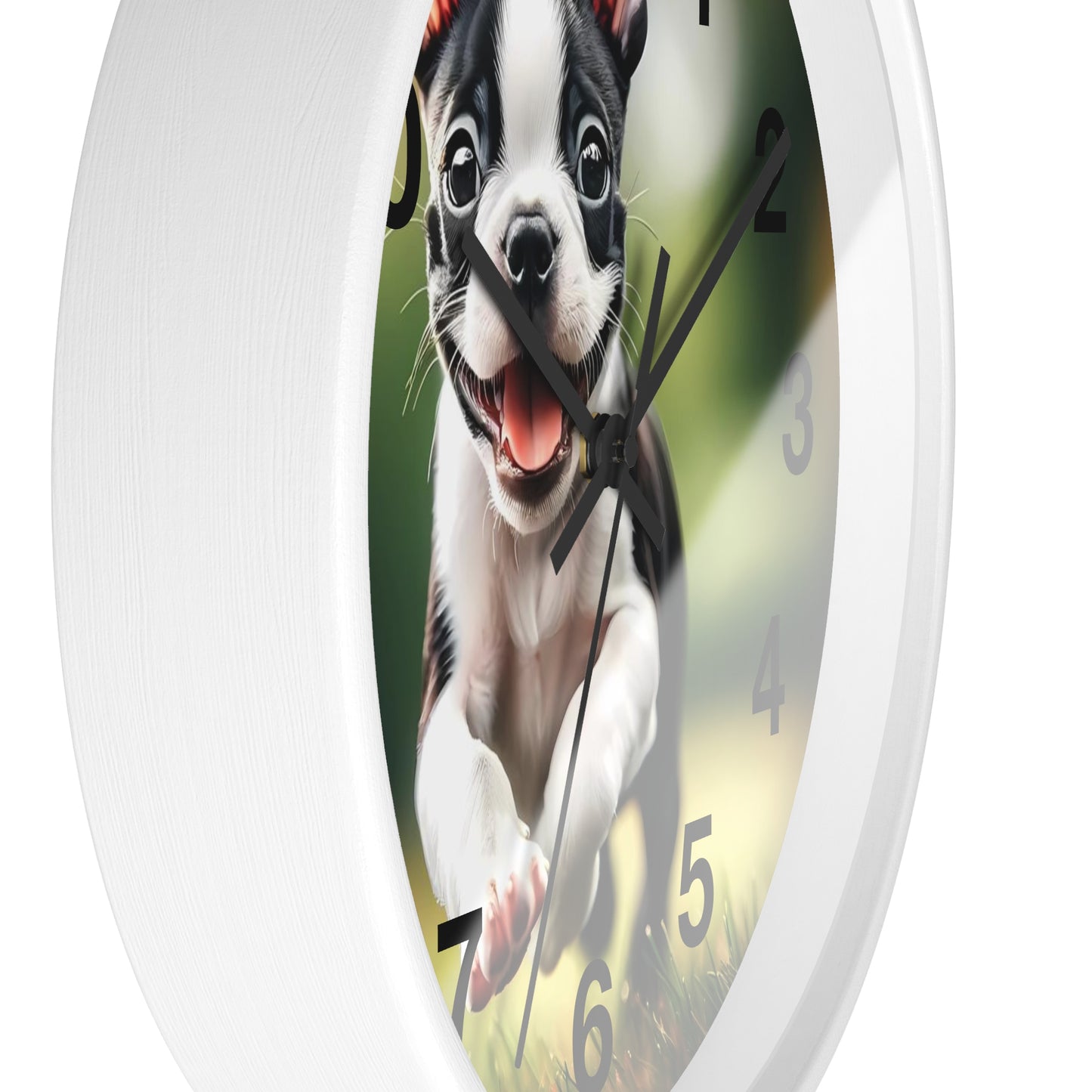 Playful Boston Terrier Puppy Wall Clock