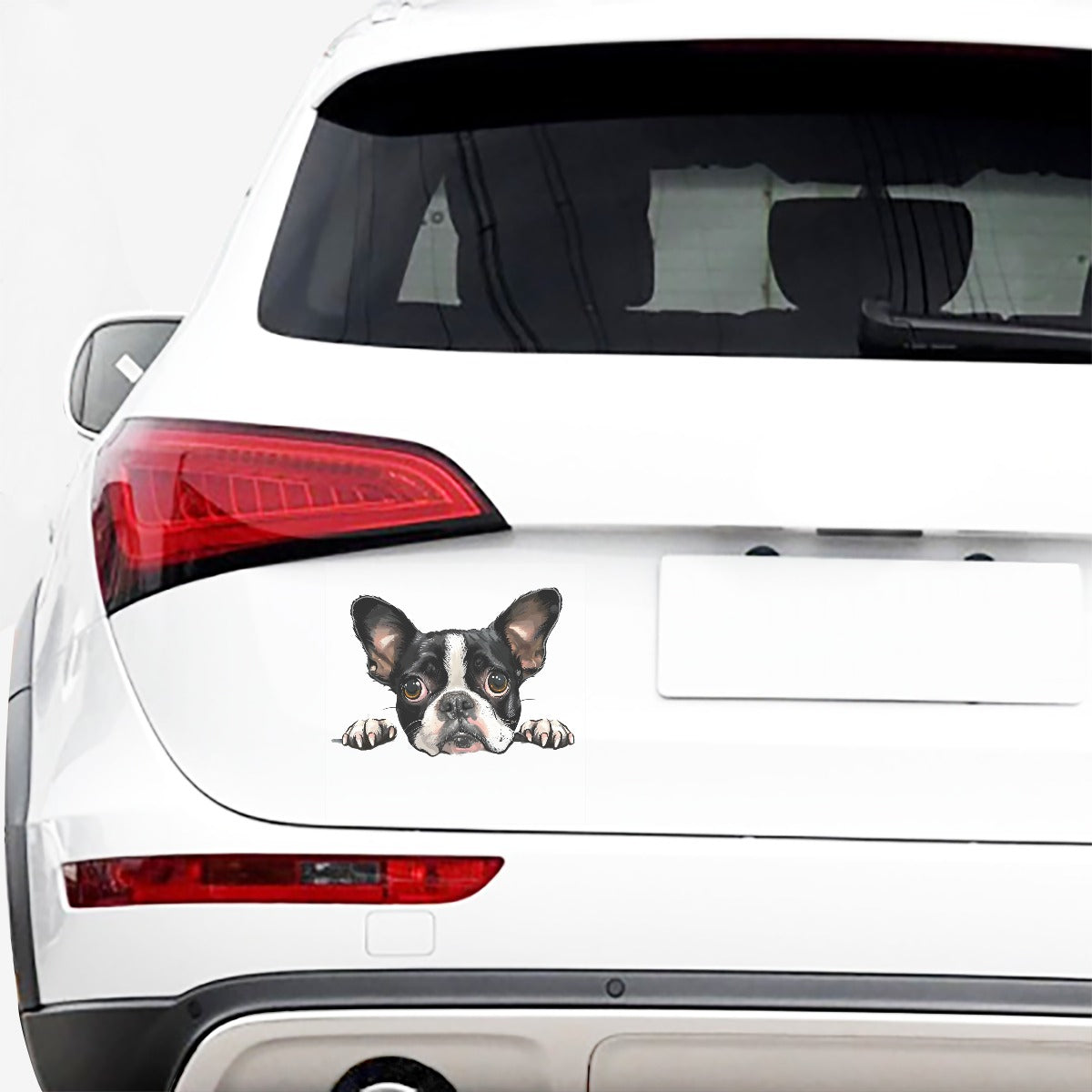 Peeking Boston Terrier Dog Car Sticker