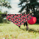 Watermelon Fruit Print Pet Bandana Collar | Cute Dog Accessory for Summer, Pet Gift, Dog Fashion, Adjustable Pet Scarf