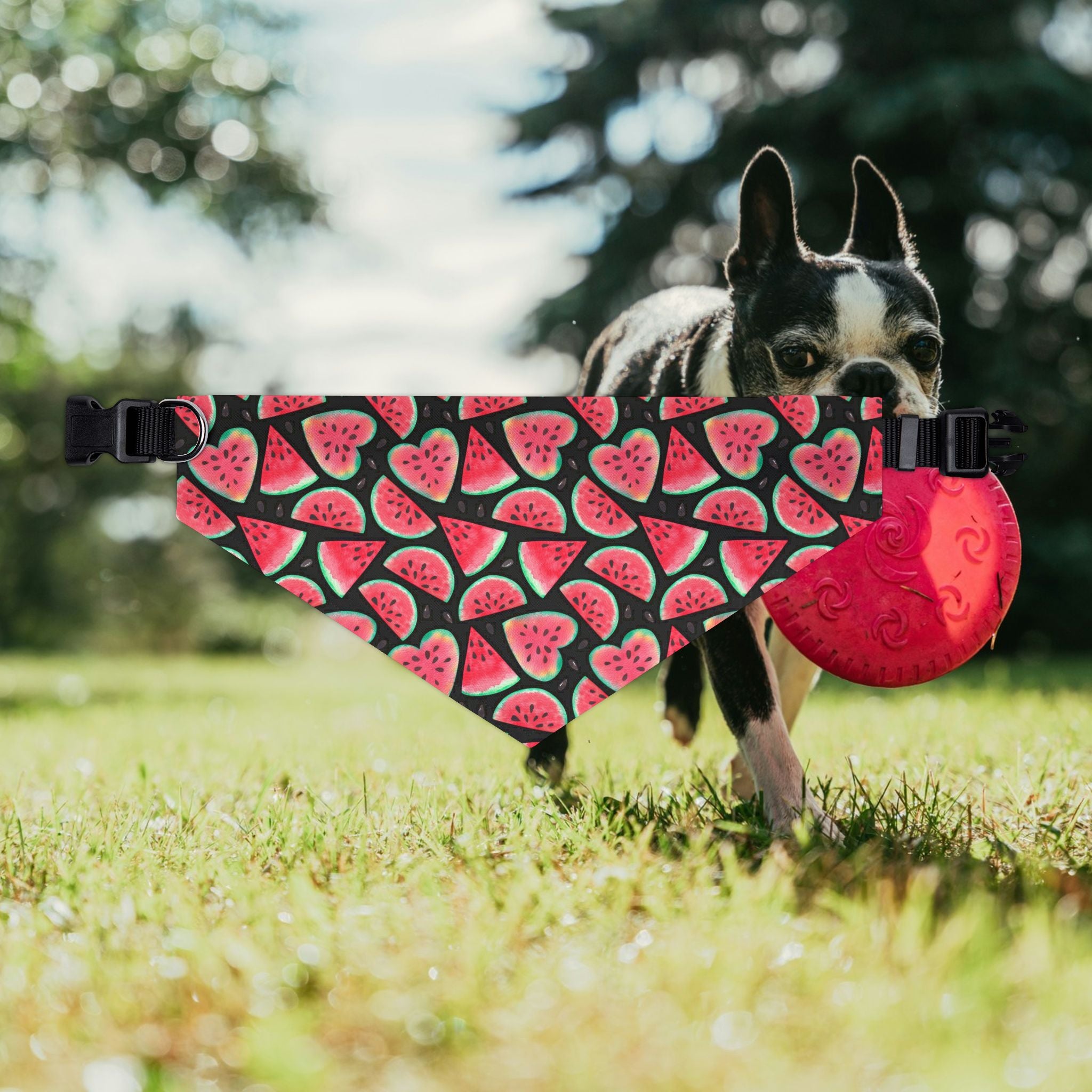 Watermelon Fruit Print Pet Bandana Collar | Cute Dog Accessory for Summer, Pet Gift, Dog Fashion, Adjustable Pet Scarf