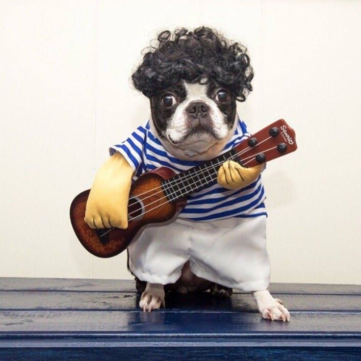 Dog Guitarist Costume