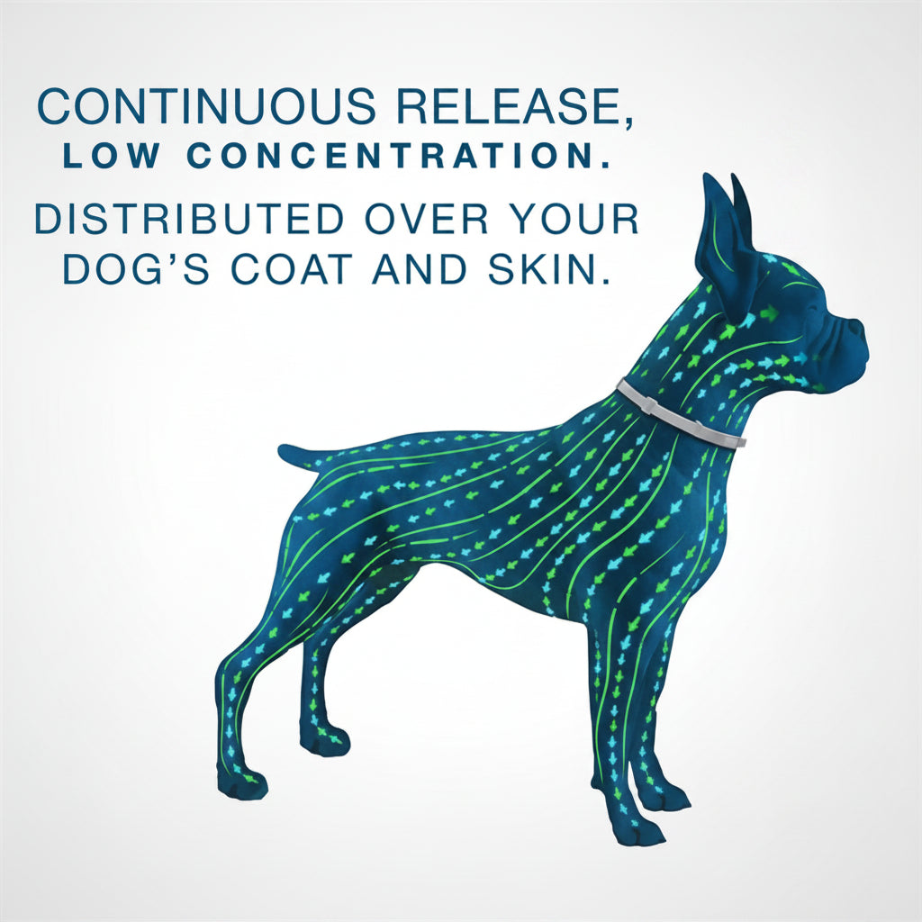 Natural Anti-Flea, Tick & Mosquito Dog Collar – Adjustable Plant-Based Insect Repellent Collar for Dogs