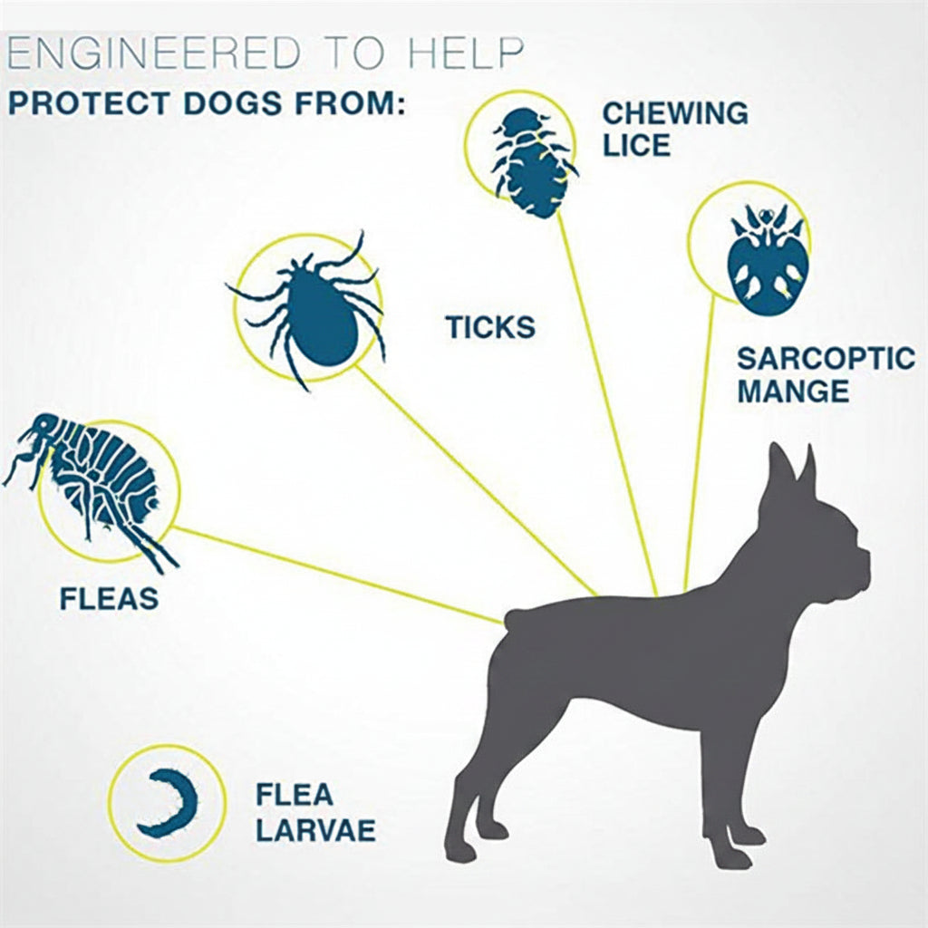 Diagram showing how a product protects dogs from pests like fleas, ticks, and lice.