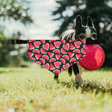 Watermelon Fruit Print Pet Bandana Collar | Cute Dog Accessory for Summer, Pet Gift, Dog Fashion, Adjustable Pet Scarf