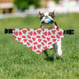 Watermelon Fruit Pet Bandana, Summer Dog Accessories, Cute Dog Gifts, Adjustable Pet Collar, Dog Birthday Outfit