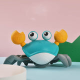 Crawling Crab Interactive Dog Toy