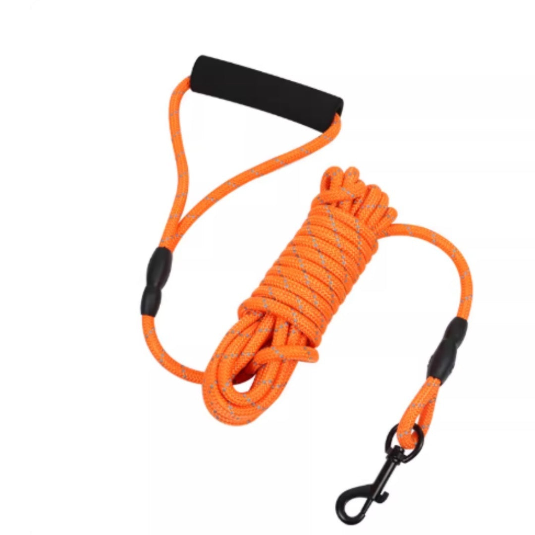 Extra-Long Dog Training Leash (6m / 10m) – Perfect for Swimming, Recall & Outdoor Freedom .