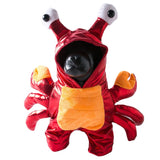 Crab Dog Costume