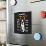 The Anatomy Of The Boston Terrier Magnet