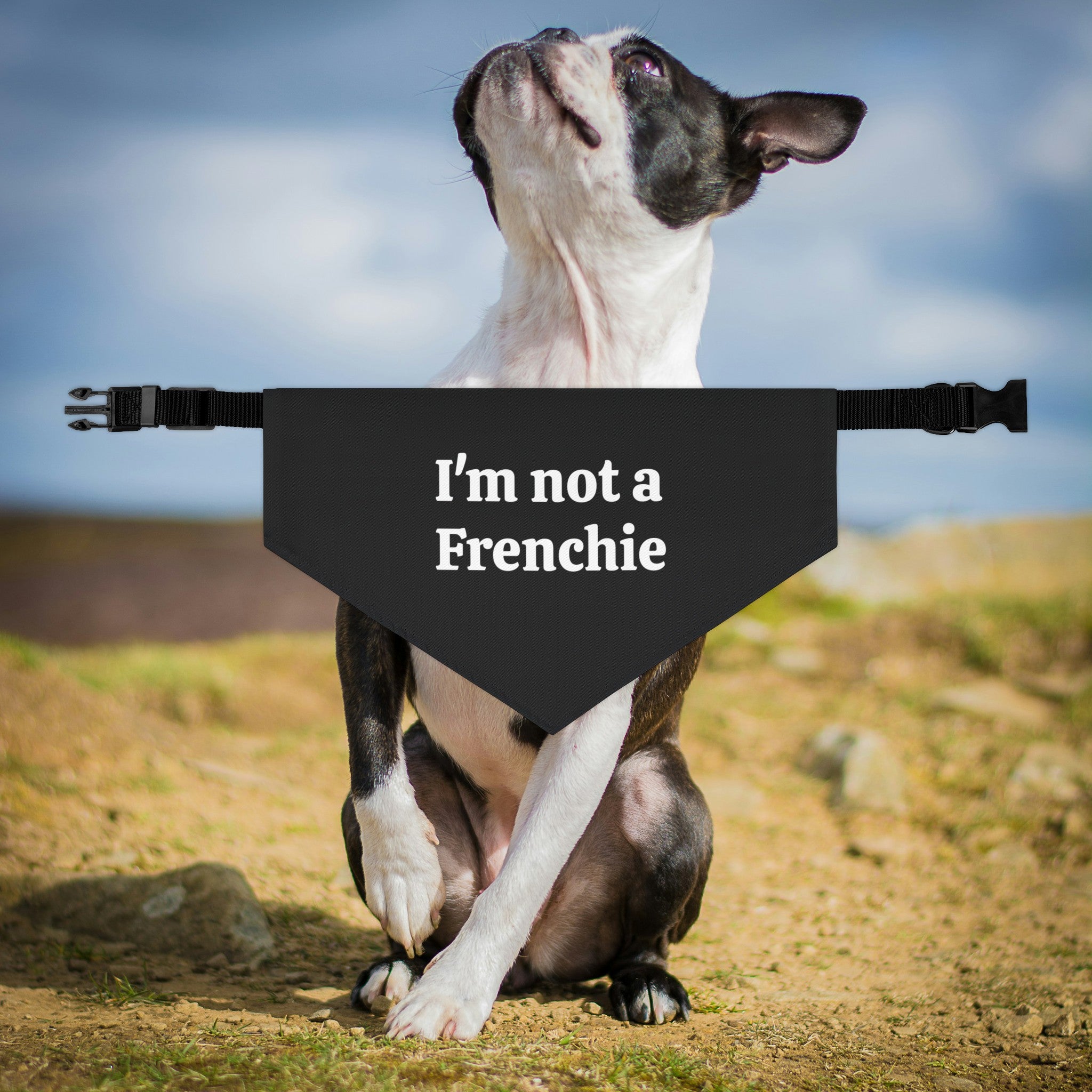 I'm Not A Frenchie - Dog Bandana Collar