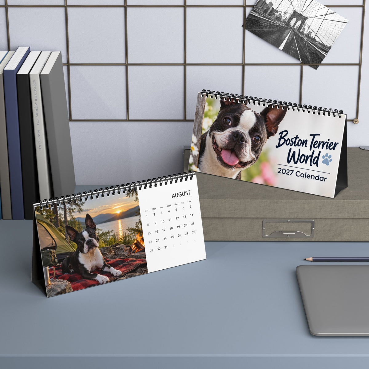Boston Terrier World 2027 Desktop Calendar .