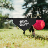 Built for Zoomies Pet Bandana Collar - Fun Adjustable Accessory for Playful Dogs