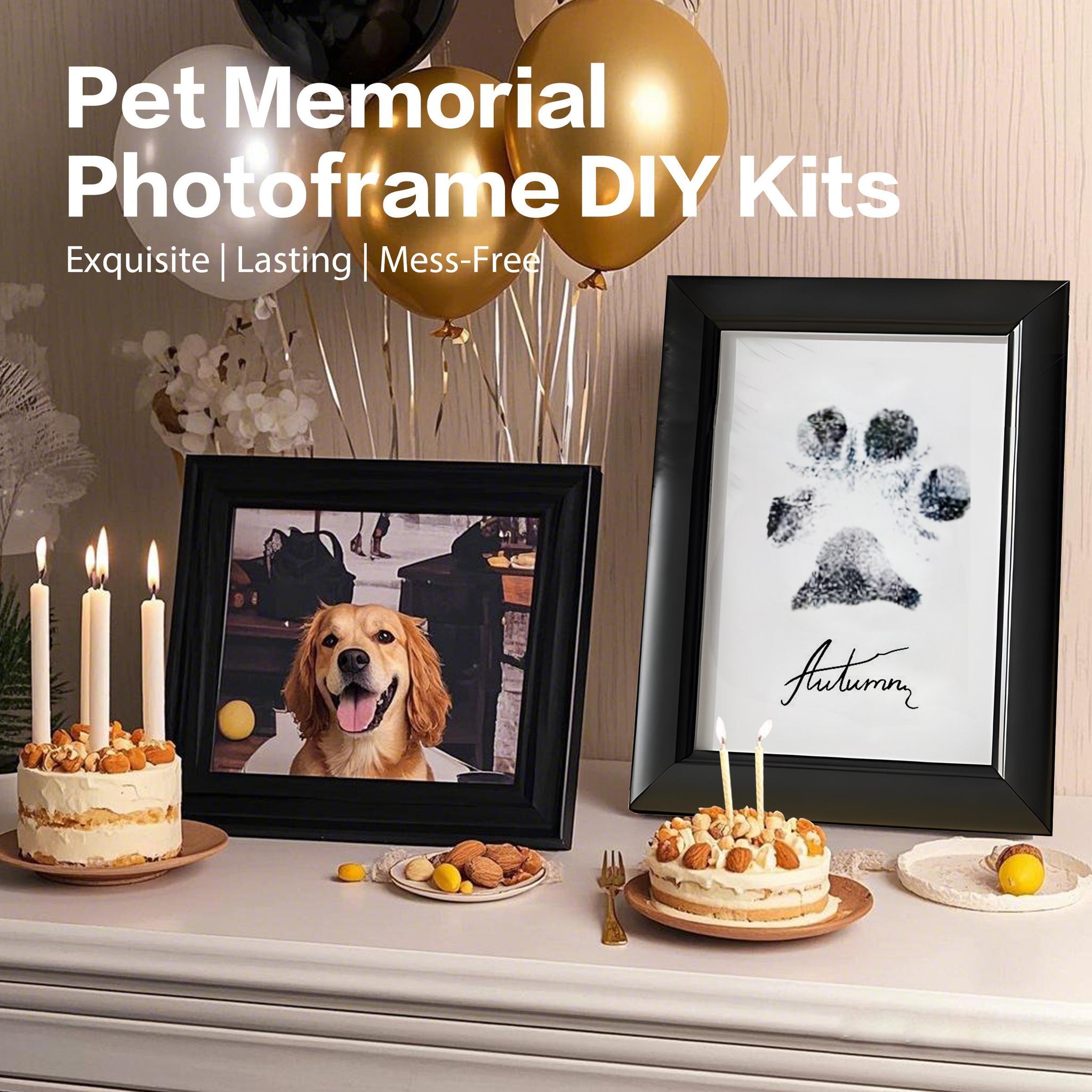 DIY Pet Paw Print Frame Kit Personalized Memorial With Ink