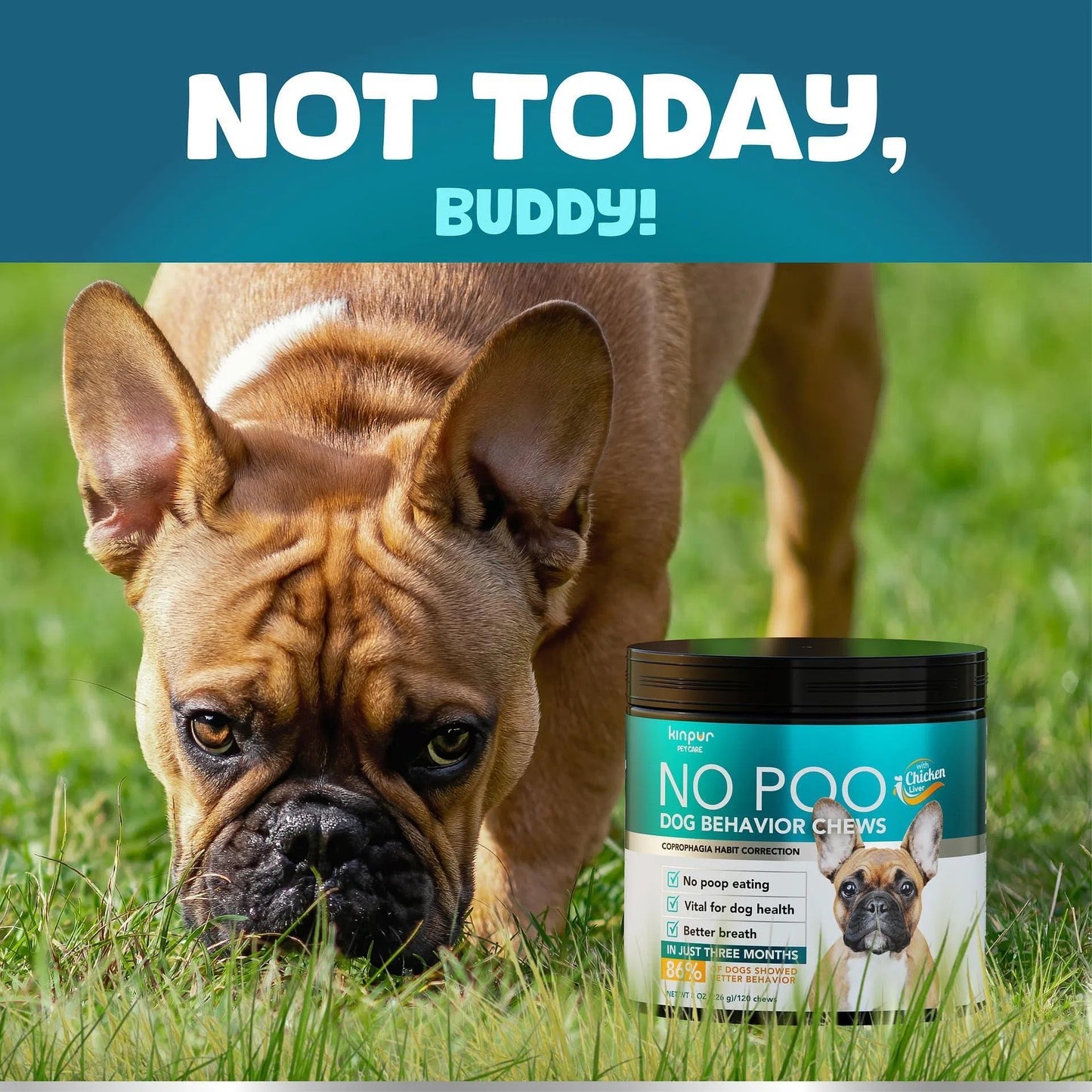 No Poo Chews For Dogs Stop Poop Eating Behavior Probiotics And Digestive Enzymes For Dogs Bad Breath Support Digestive And Gut Health Supplement 180 Soft Chews