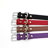 Microfiber Leather Dog Collar