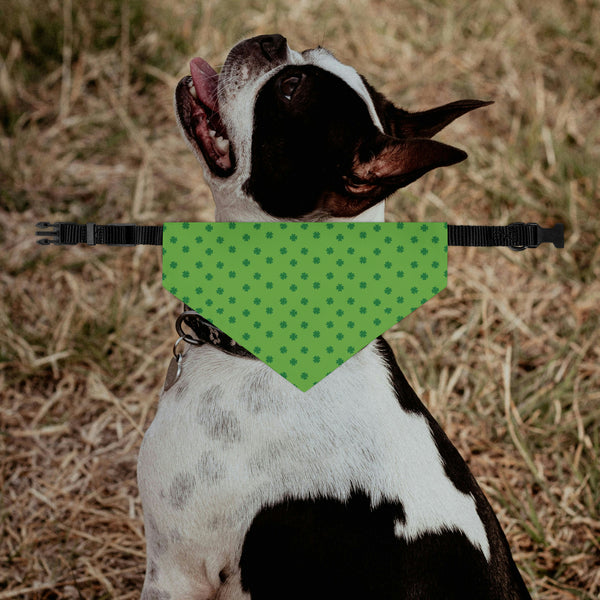 Clover St Patricks Day Dog Bandana Collar