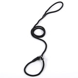 Slip Lead Training Dog Leash