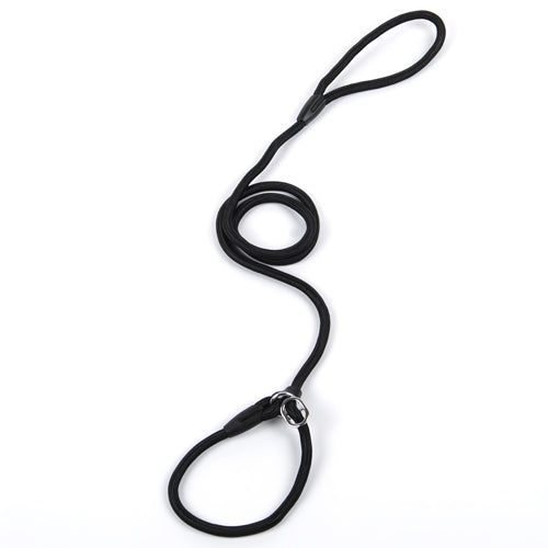 Slip Lead Training Dog Leash