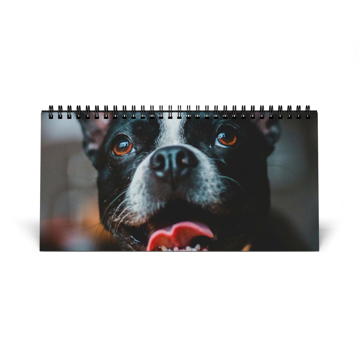 2026 Personalized Desk Calendar with Your Dog's Photos .