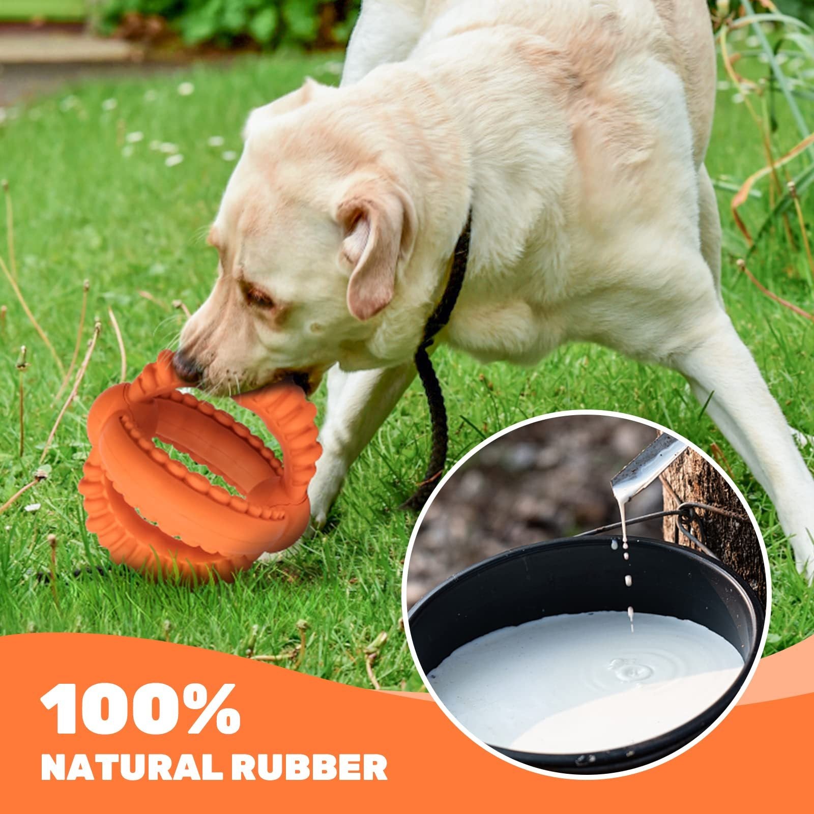 2 in 1 Durable Rings 100% Natural Orange Rubber Dog Toy