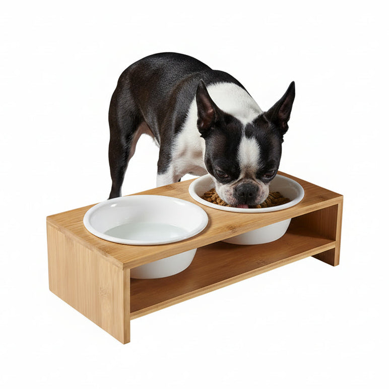 Ceramic Dog Bowl On Bamboo Table .