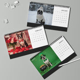 Boston Terrier World 2026 Desktop Calendar