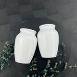 Tree Of Life Cremation Dog Memorial Jar