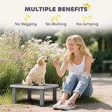 Wooden Dog Training Place Board, Dog Training Platform With Ladder, Pet Agility System For Indoor Outdoor