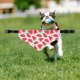 Watermelon Fruit Pet Bandana, Summer Dog Accessories, Cute Dog Gifts, Adjustable Pet Collar, Dog Birthday Outfit