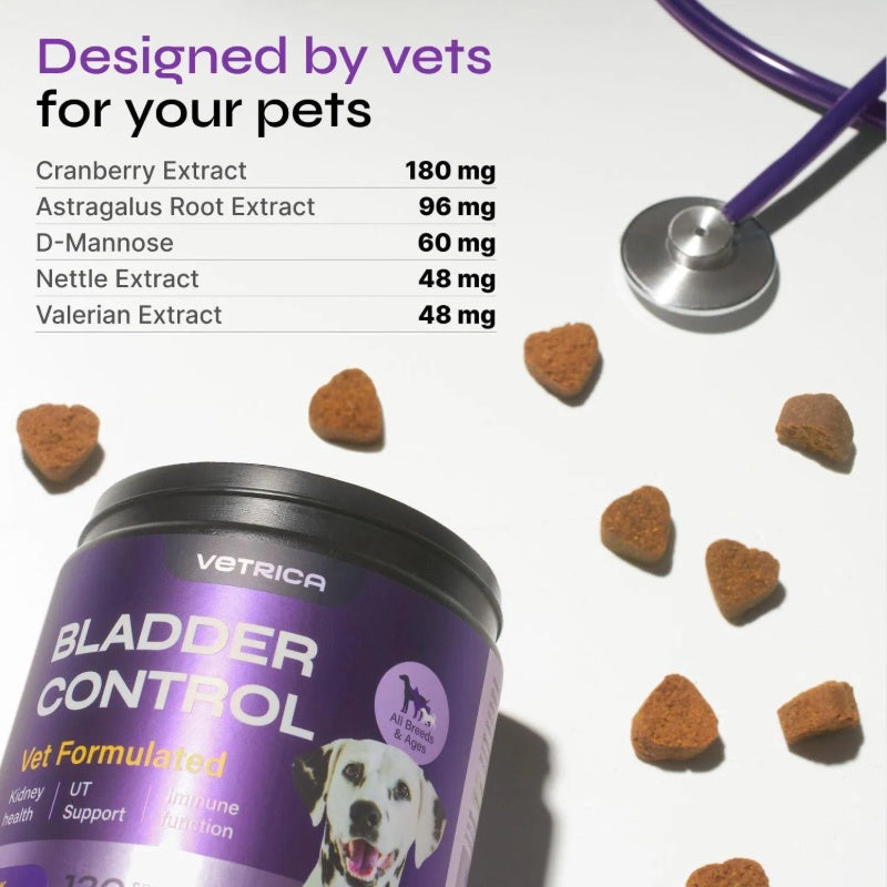 Dog UTI Treatment Duck Flavor Bladder Control Cranberry Chews Supplement For Urinary Tract Bladder & Kidney Health