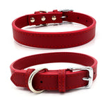 Microfiber Leather Dog Collar