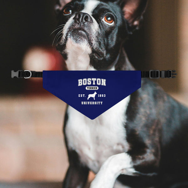 Boston Terrier University EST. 1983 Dog Bandana Collar