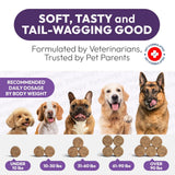 Dog Multivitamin Chewable Dog Vitamins And Supplements With Glucosamine 170 Chews Hip & Joint Immune Support Skin & Coat Gut & Heart Health Senior & Puppy Multivitamin Supplement